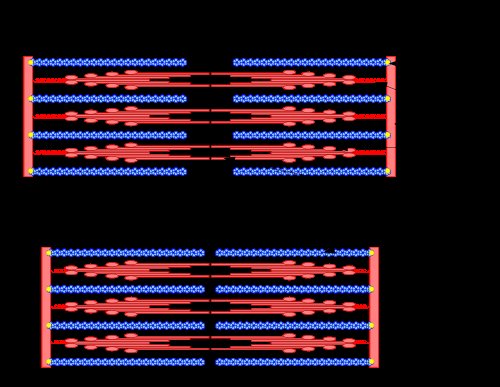 sarcomere